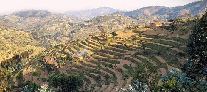 Route de Kibuye au Rwanda par les plateaux agricoles