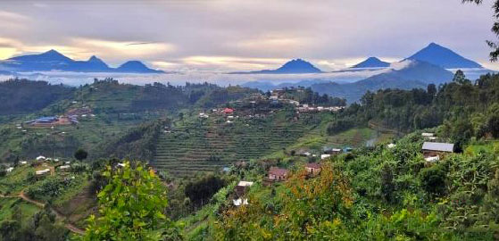 Volcans des Virungas